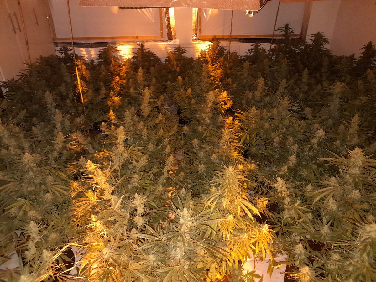 Coppetts Police tweet media