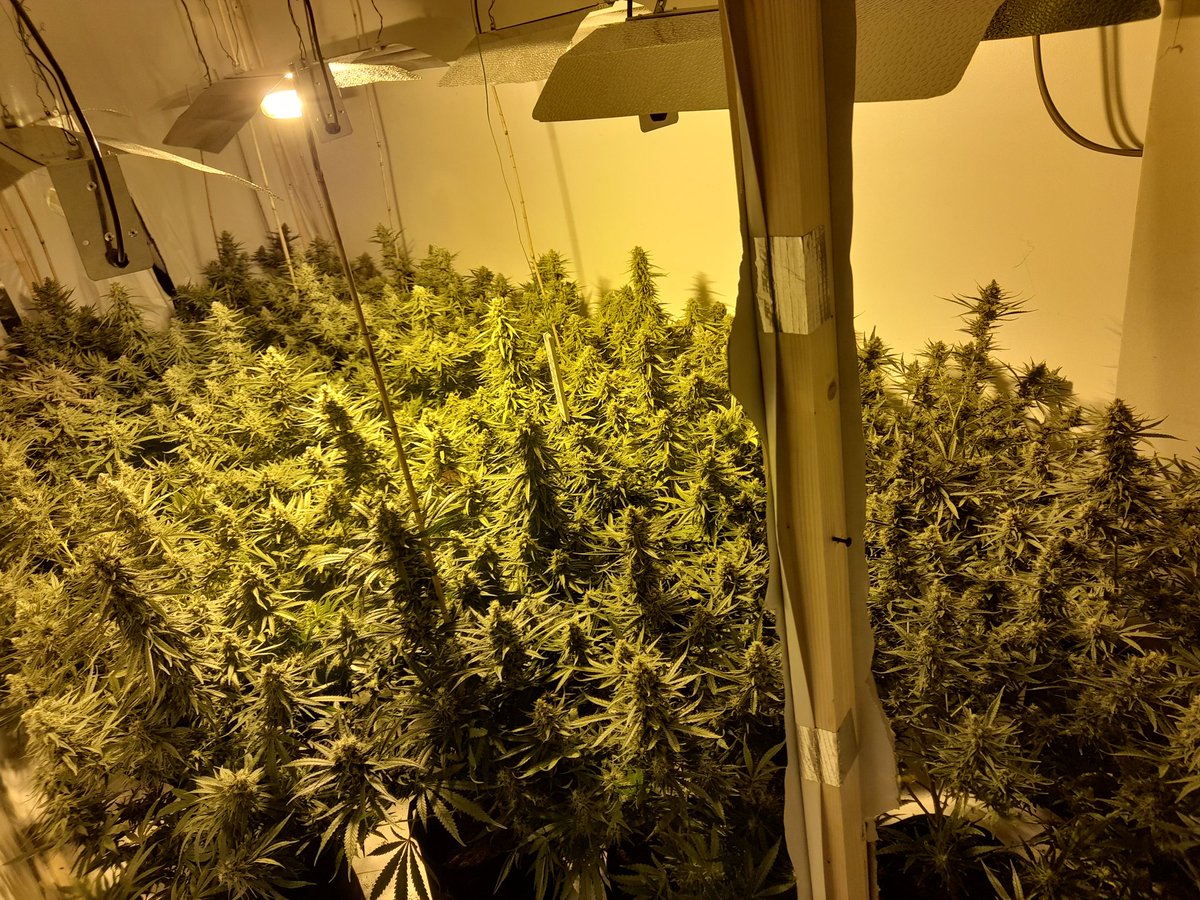 Coppetts Police tweet media