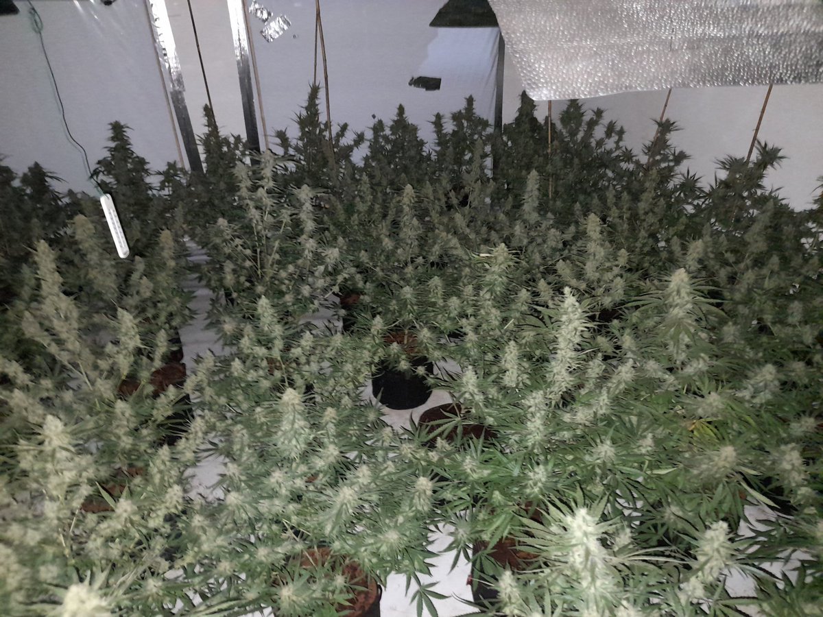 Coppetts Police tweet media