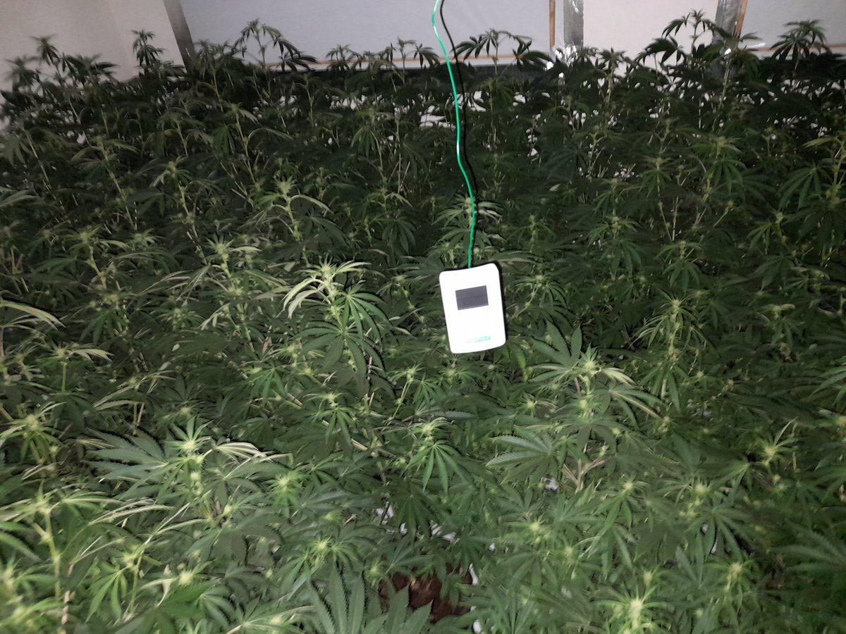 Coppetts Police tweet media