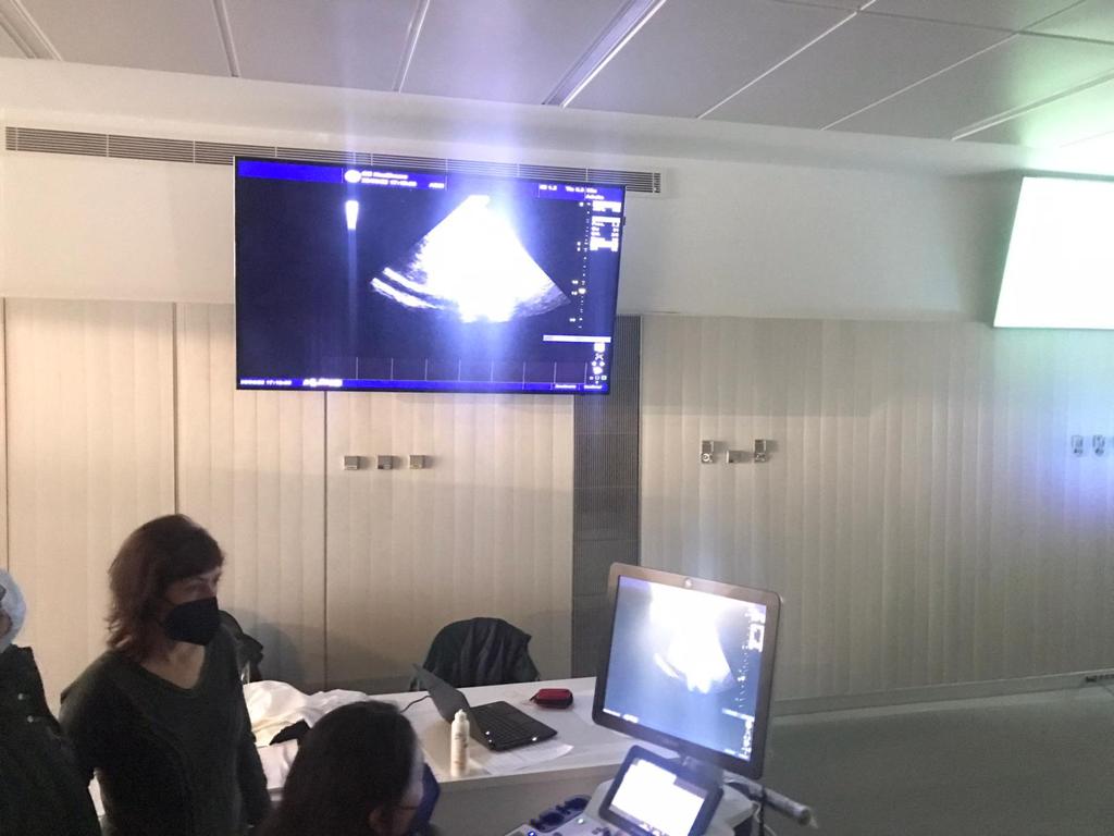 SIEC_ecografia's tweet photo. Imágenes de nuestro curso de iniciación en ecografía de urgencias realizado este sábado en el hospital virtual de la @UCV_svm, impartido por los Dres. @AlgadoJose y Carlos Herraiz con el patrocinio de @DaiichiSankyoES.
 | #formacioncontinuada https://t.co/yxIxIFYTNW