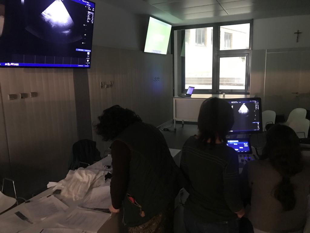 SIEC_ecografia's tweet photo. Imágenes de nuestro curso de iniciación en ecografía de urgencias realizado este sábado en el hospital virtual de la @UCV_svm, impartido por los Dres. @AlgadoJose y Carlos Herraiz con el patrocinio de @DaiichiSankyoES.
 | #formacioncontinuada https://t.co/yxIxIFYTNW