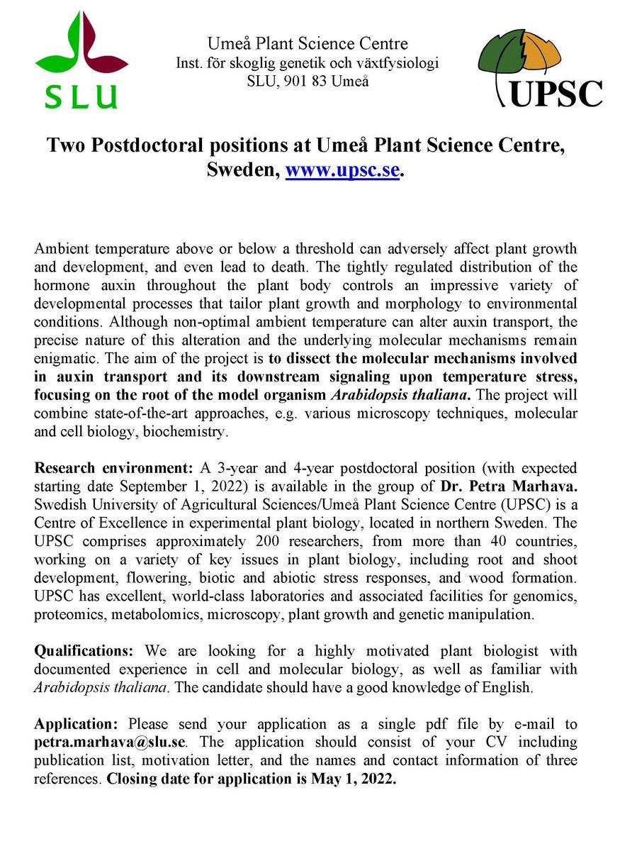 MarhavaPetra's tweet photo. I have two ERC-funded postdoctoral positions available in my group starting in September 2022 to study the regulation of auxin transport in response to temperature stress. Please RT this advert! https://t.co/WNA49q1T1d