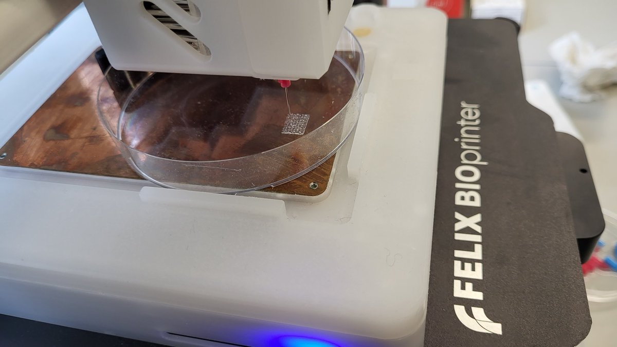 Although we couldn't get pretty results from this specific scaffold for our project at <a href="/vanhest_lab/">van Hest Lab</a>, we could manage to take a pretty cool image while we were printing it with a <a href="/FELIXprinters/">FELIXprinters</a> bioprinter at <a href="/TUeindhoven/">TU Eindhoven</a> :)