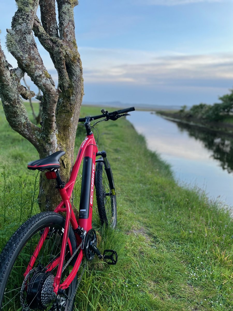 The Machrie tweet media