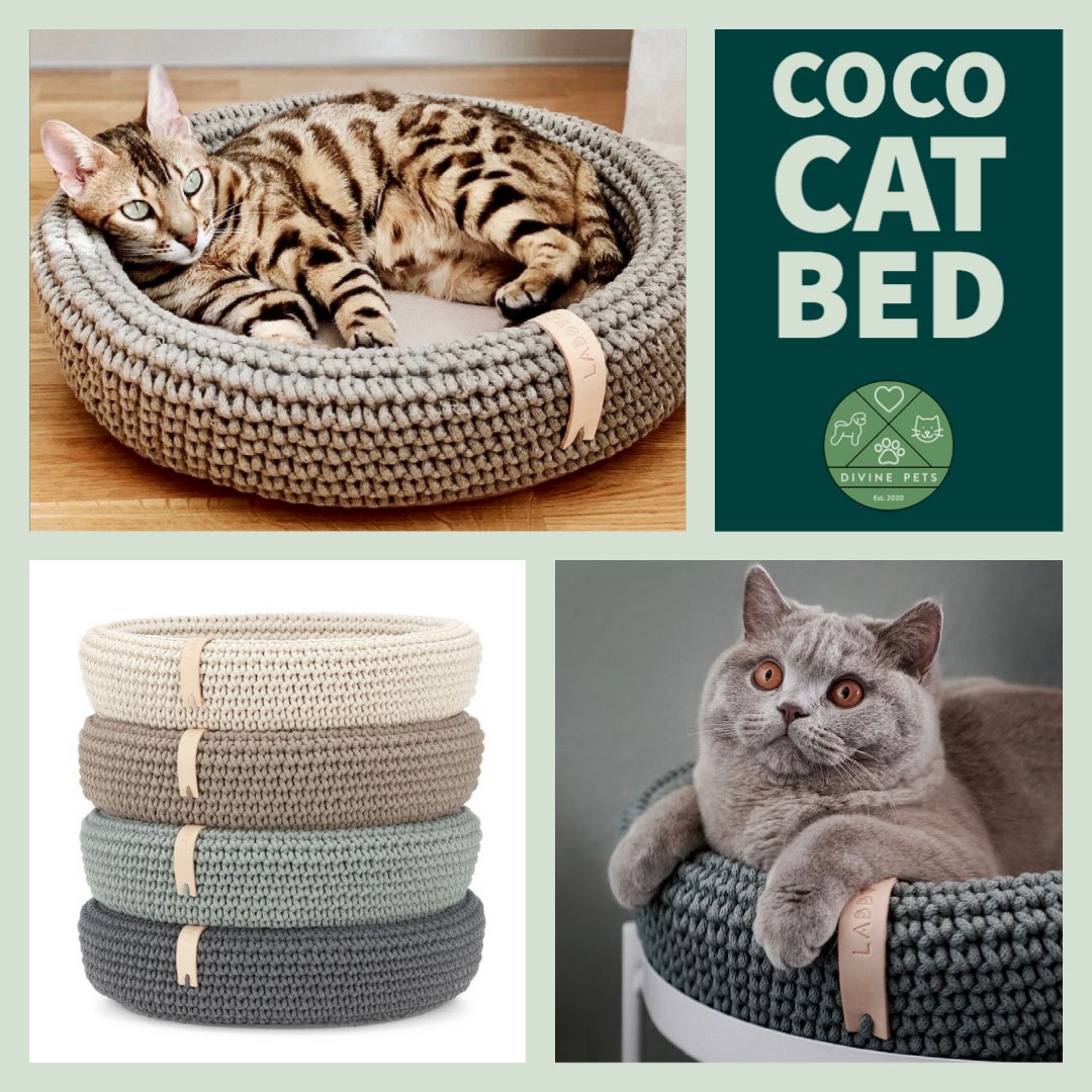 DivinePetsUK's tweet image. The Coco Bed by Labbvenn makes for utterly blissful cat naps🐱💤❤

🛒 divinepets.co.uk

#catsuk #catsireland #catsoftwitter #catbed #catnap #catsofmanchester #catsoflondon #catlife #divinepets #catsofessex #catsofyorkshire #catsofcheshire #catsofsurrey #catlover #catmom