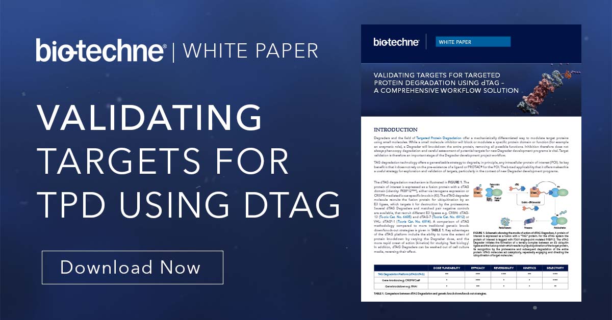 biotechne's tweet image. Download your copy to find out how our dTAG Degrader molecules offer a useful alternative to genetic methods for target validation by bringing about the rapid and highly selective degradation of a protein of interest. #PROTACs #targetvalidation #TPD

bit.ly/3wKkEvc