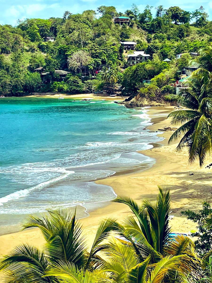 Bacoletplayer's tweet photo. Day 15 of Island life πΉπΉππ #castara https://t.co/FCtAm1kgQ0