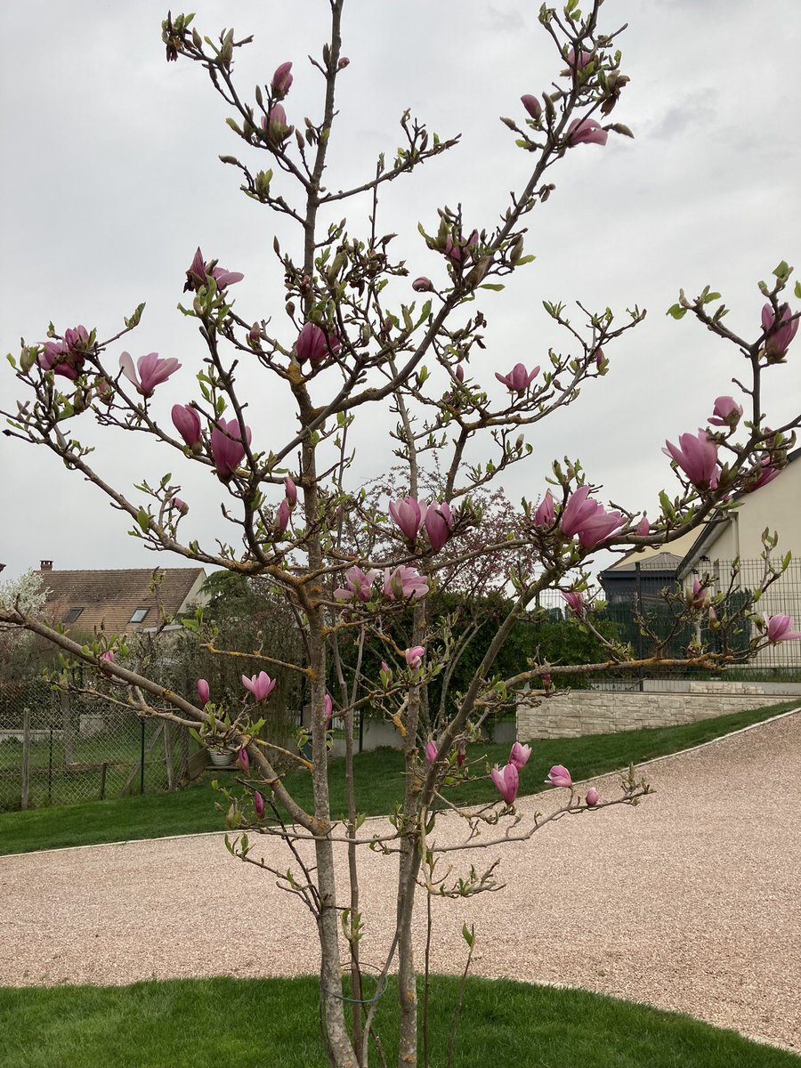 OlivierCOSTE2's tweet photo. Une attention d’un #FrAgTw en rentrant ce soir,à #MagnoliaForEver. https://t.co/N1oZE2aNCL