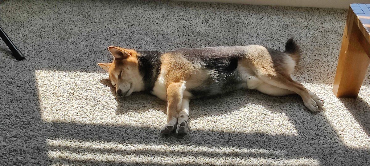 IAmCallMeCyber's tweet photo. @TheNerdCloset Oops I spilled my bag of smiling Kenji pics.. https://t.co/yCjBZNDHCZ