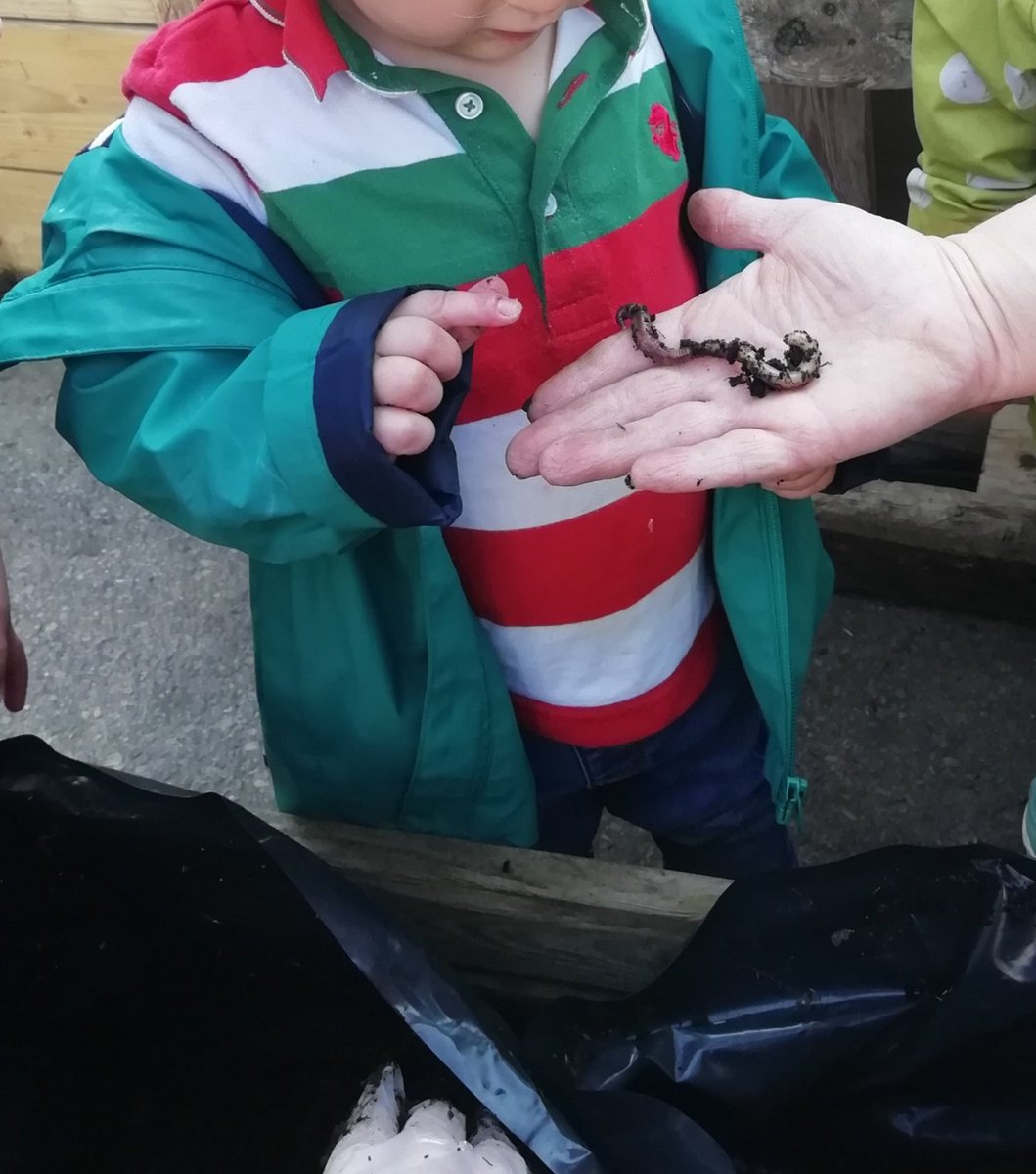 MinersMini's tweet photo. A great start to our #outdoorlearningweek.
Planting our potatoes, onions and garlic and exploring our friends in the compost bin 🪱
#seizetheseason @EAS_EarlyYears https://t.co/5LwegPhhhN