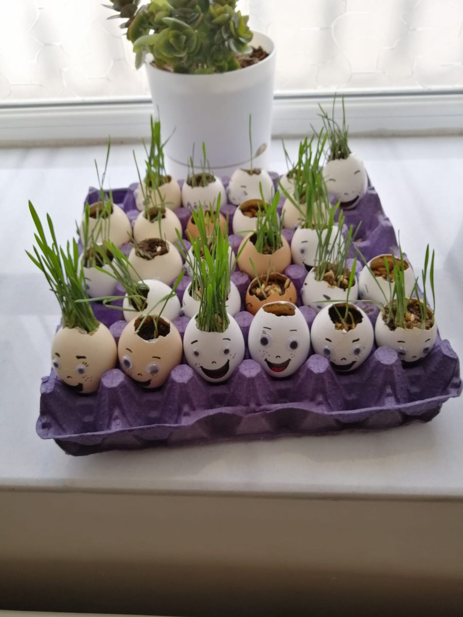 MeramSifiratik's tweet photo. Çevre Eğitimi Projesi." Meram Mevlana Anokulunda küçüklerimiz hiçbir  madde atık değildir"dediler.@Konyabuyuksehir @u_ibrahim_altay @KONCEPSifirAtik @meramMEM @servetal61 https://t.co/5o25LzoO4O