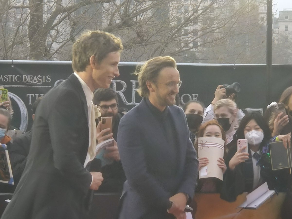 ClubPotterhead's tweet photo. Presentado como “Ganador de un premio de la academia” llega a la premiere de Animales Fantásticos: #LosSecretosDeDumbledore  nuestro Eddie Redmayne! ✨ https://t.co/VVqdDp0i7g