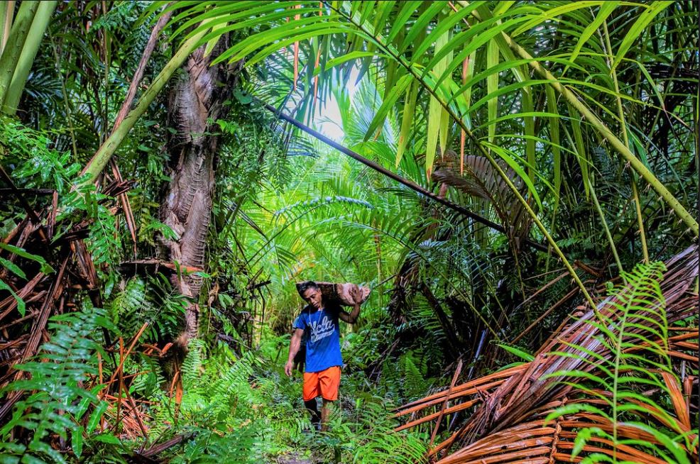 ForestPeoplesP's tweet photo. #PressRelease: The global framework to save #nature will only be effective if the rights and contributions of #IndigenousPeoples &amp; Local Communities are fully recognized | @IIFB_indigenous live from @UNBiodiversity  in Geneva

https://t.co/RFyq5dI1cz https://t.co/su6iHOXrDH