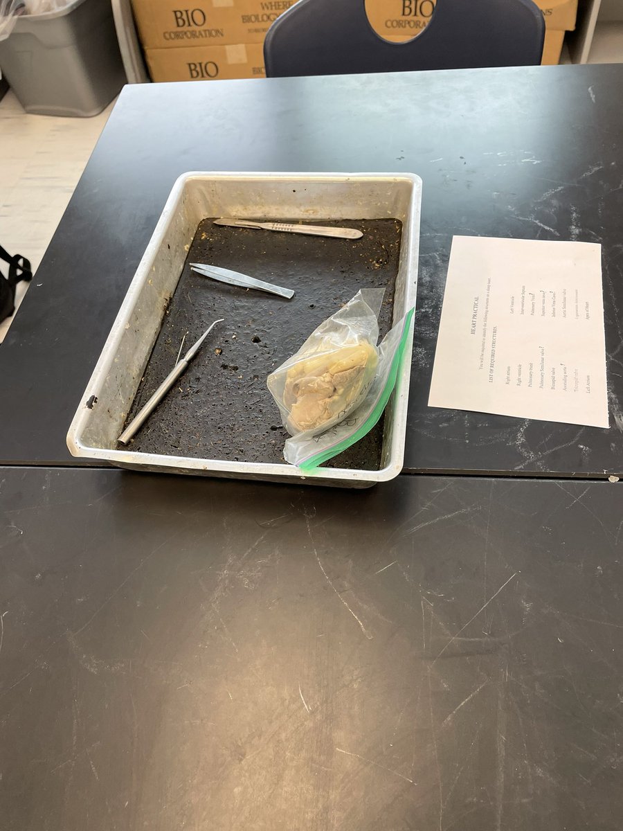 egrippa44's tweet photo. No Megan, just leave your dissection material out. I would love to put all this away for you. It’s what I live for! #HeavySarcasm #ScienceTeacherProblems https://t.co/IzF6C8ISPK