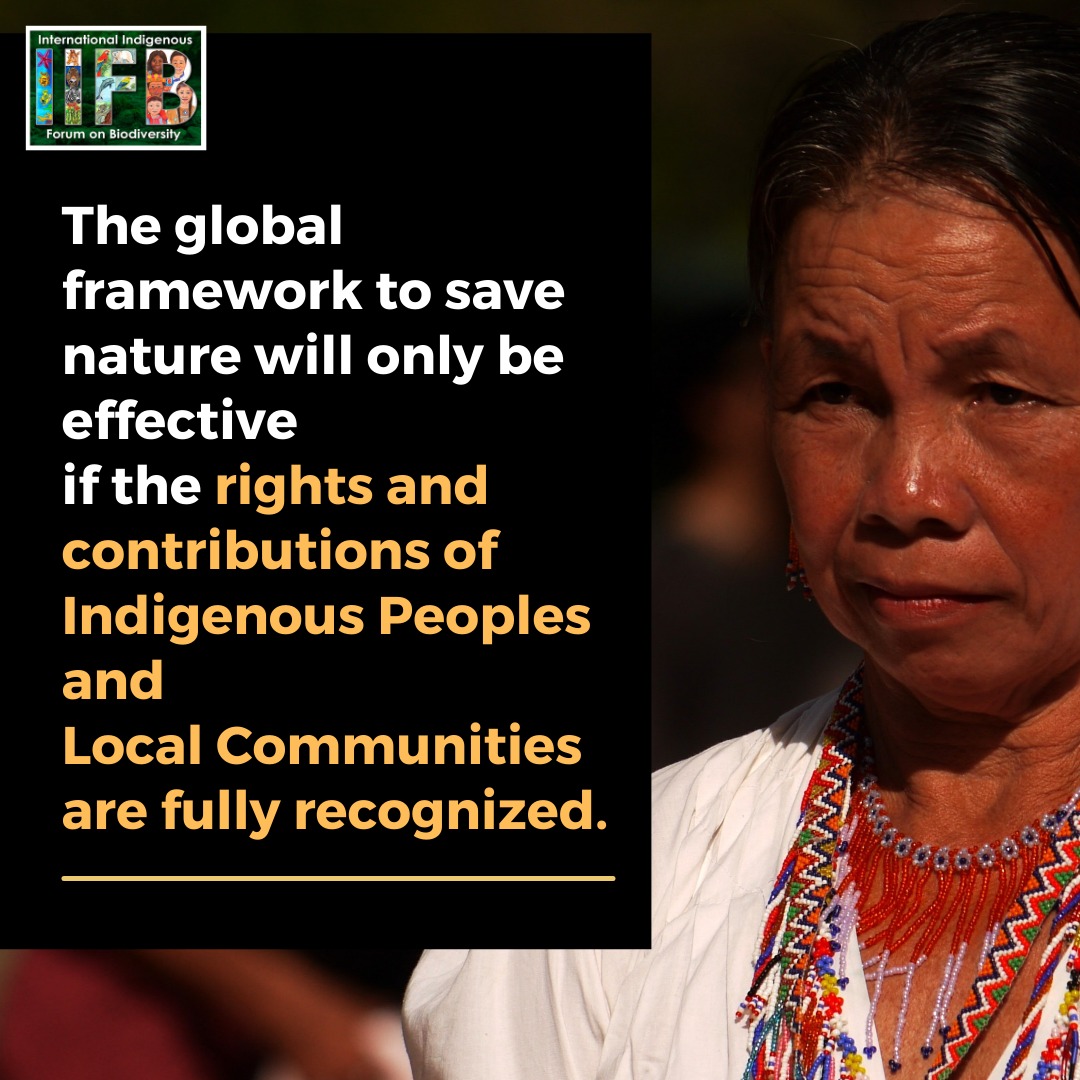 IIFB_indigenous's tweet photo. 📢 #PressRelease 
“If we don’t have a framework to protect #nature that truly recognises and respects the rights of #IndigenousPeoples and Local Communities those who are actually #conserving #biodiversity, humanity is going to be in danger,”
Full release:
https://t.co/3CCSaOvzxS https://t.co/xbnLcPGfQC