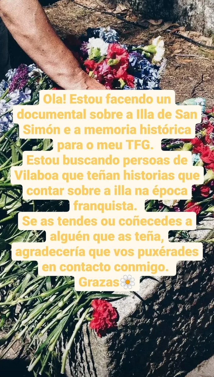 lúa tweet media