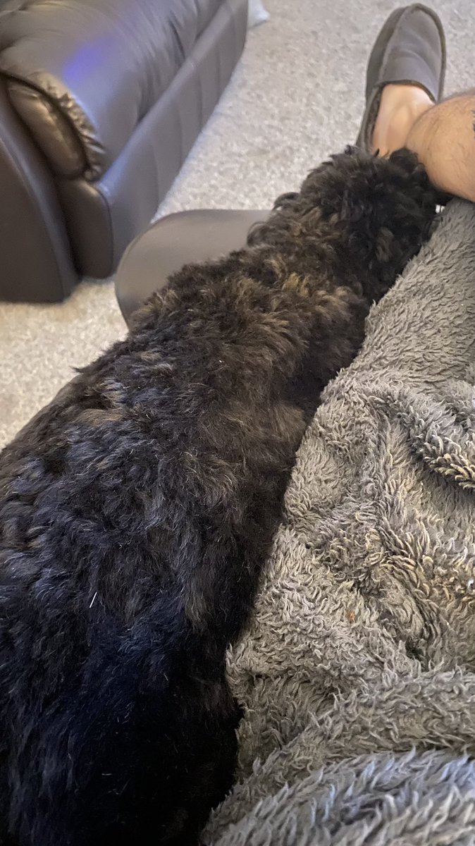 JPouchCop's tweet image. It’s all cute until they let rip!!! #wow #fartmachine #chewonit