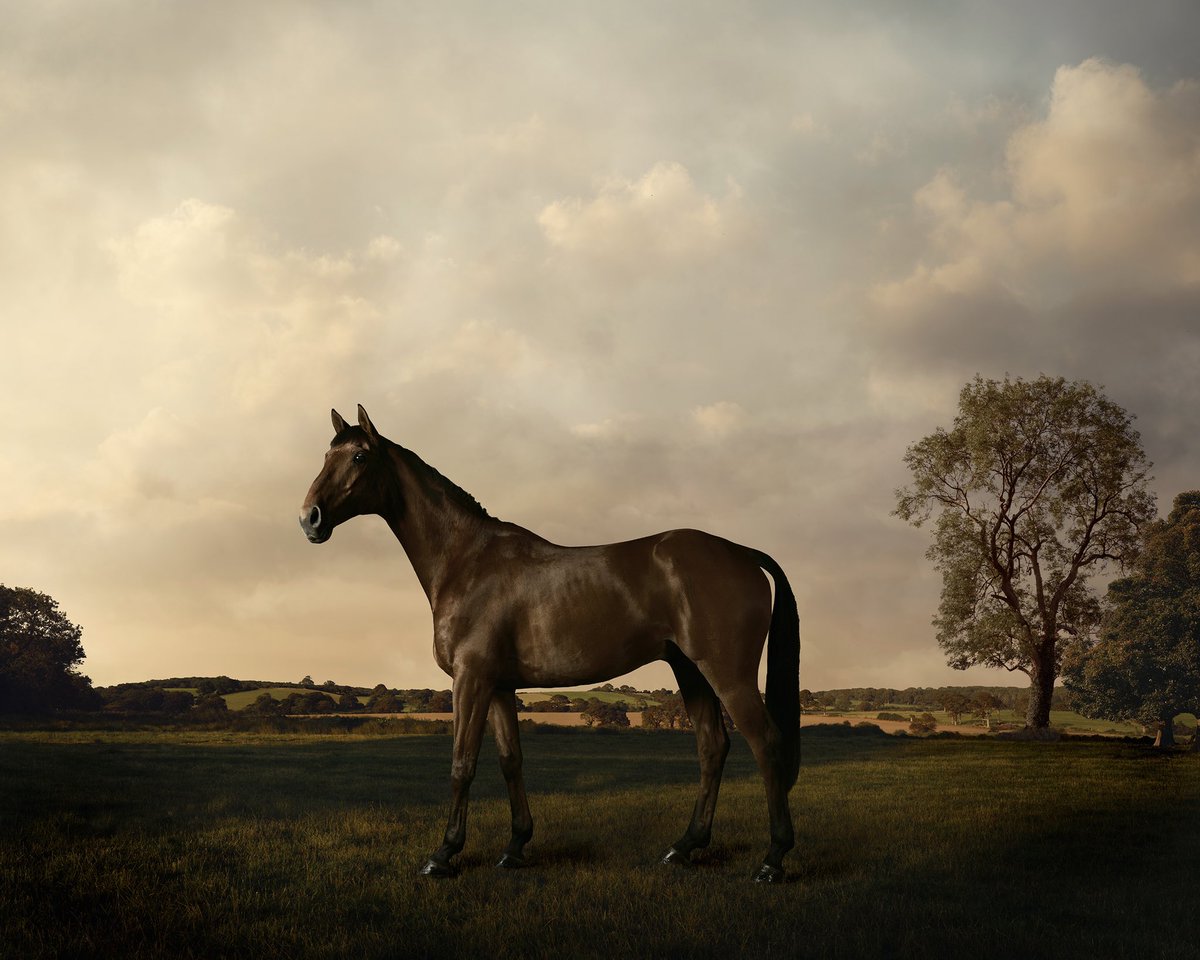 re_stubbs tweet media