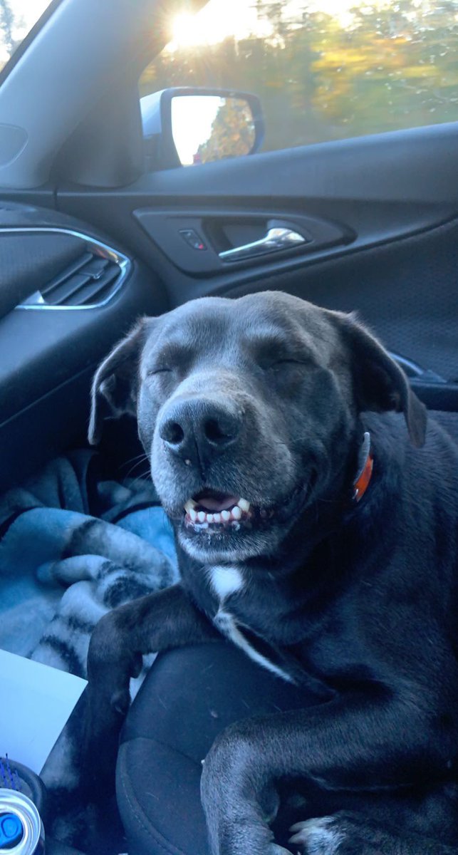 __carsynbaker's tweet image. PLEASE RETWEET!!!! I NEED A KIDNEY!!!! O POSITIVE OR O NEGATIVE BLOOD!!! AGES 16-65!!! PLEASE DM ME FOR INFORMATION ON HOW TO SIGN UP!!! 💝💝