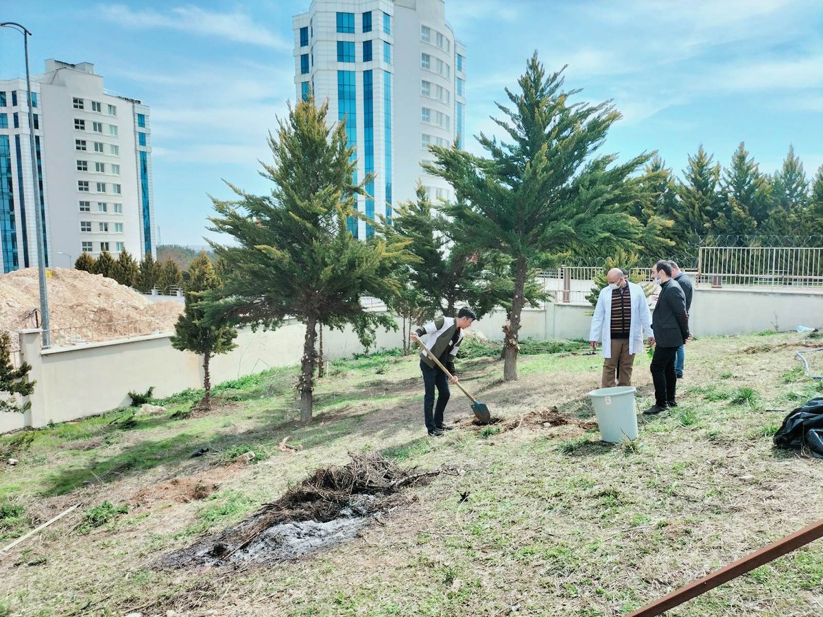 MtalHoroz's tweet photo. Orman Haftası etkinlikleri kapsamında okulumuz bahçesinin çevre düzenlemesi, fidan dikimi ve ağaç  budama işlemleri yapılmıştır. Görev alan öğretmen ve öğrencilerimize teşekkür ederiz.

#HorozMtal
#ormangibigüçlü https://t.co/rw0viy8DfV