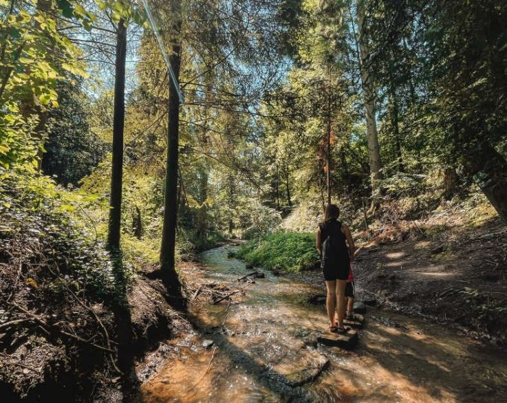 PriestRanchWine's tweet image. At Priest Ranch, we are curious about everything around us. Our passion for adventure is expressed in everything from our uniquley diverse Estate, to our unexpected blends, to our tasting experiences. 

What will be your next #UncommonAdventure

#uncommonadventure #priestranch