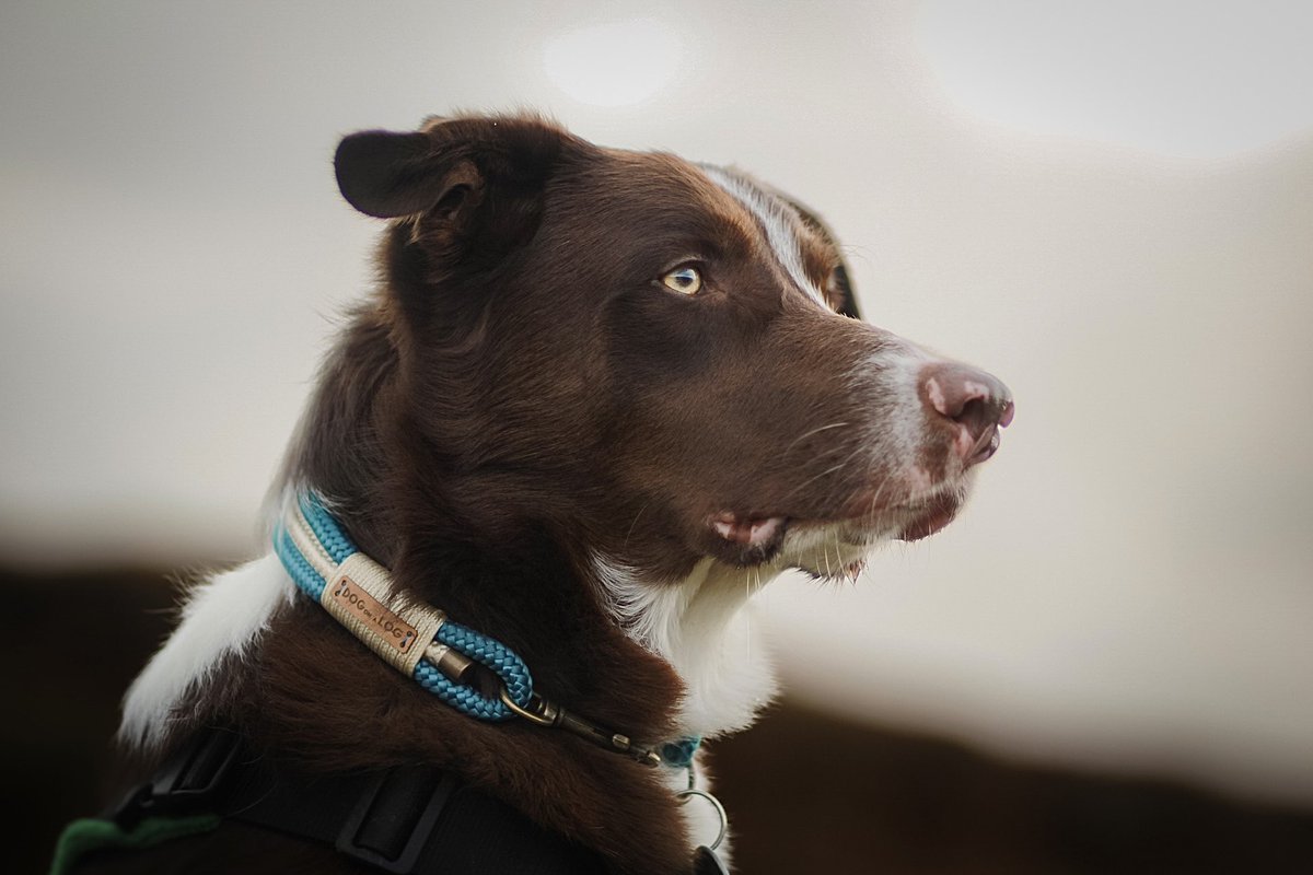 Murphy & Fly tweet media