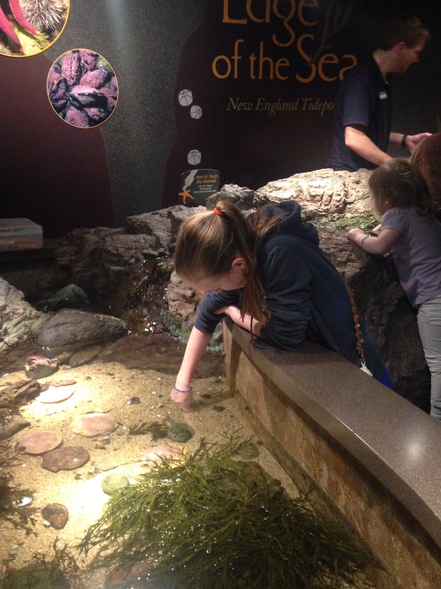 AJPRenalEIC's tweet photo. Not everything was Posters and Presentations that year #EB2015! There was some comparative physiology too ☺️ aka New England Aquarium https://t.co/Ln9ir2tFJn