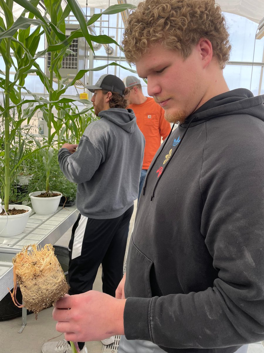 Morningside Ag tweet media