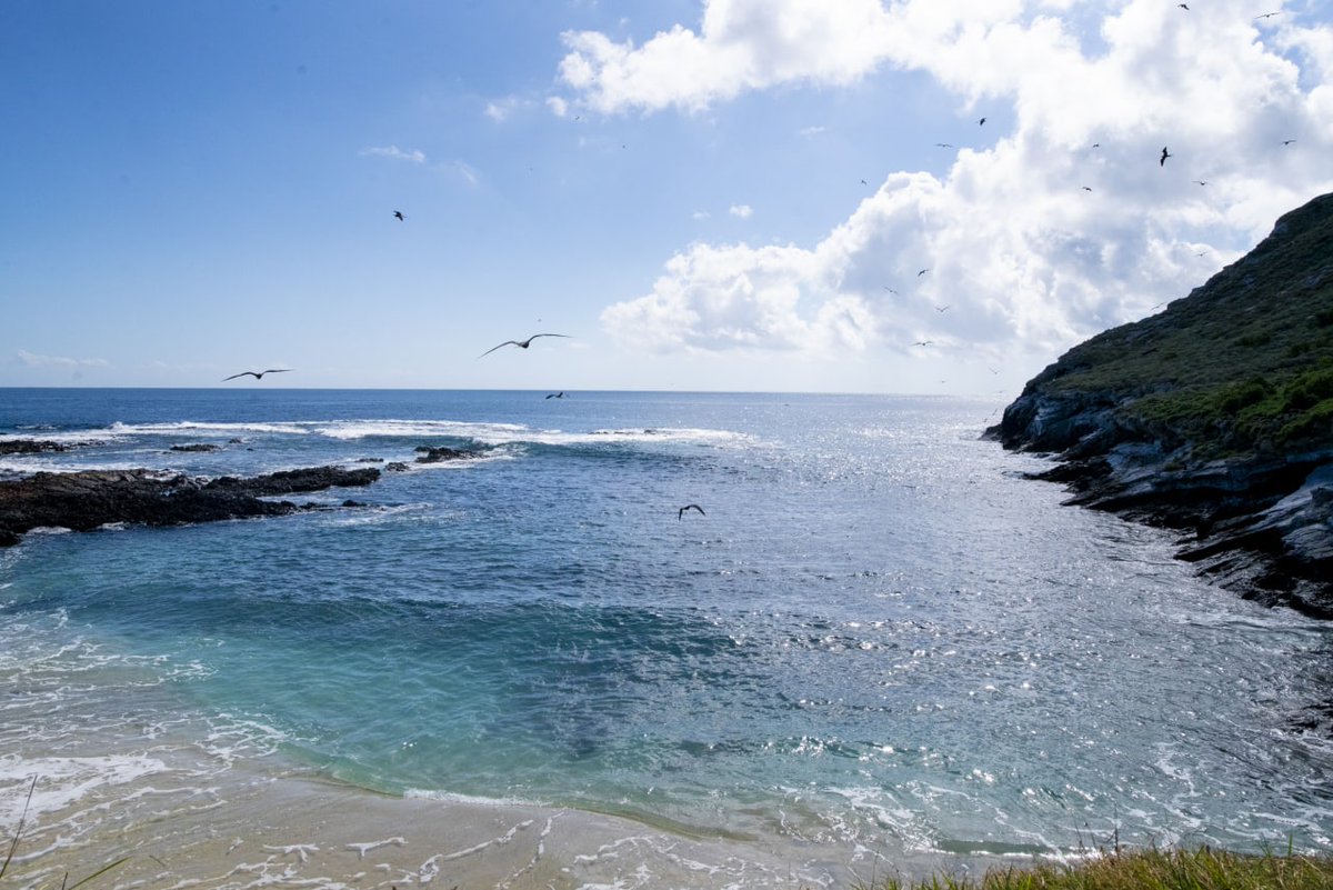 ¿Y tú ya conoces el Parque Nacional Isla Isabel?🤩

Esta Isla fue decretada como Parque Nacional el 8 de diciembre de 1980 y en 2003 designada Sitio Ramsar(humedal de importancia internacional). 🏝️

#LaPuertaALaMagia