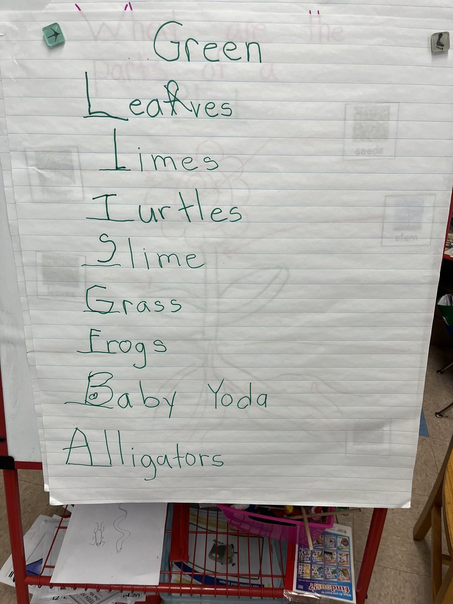 Aolani Evelyn tweet media