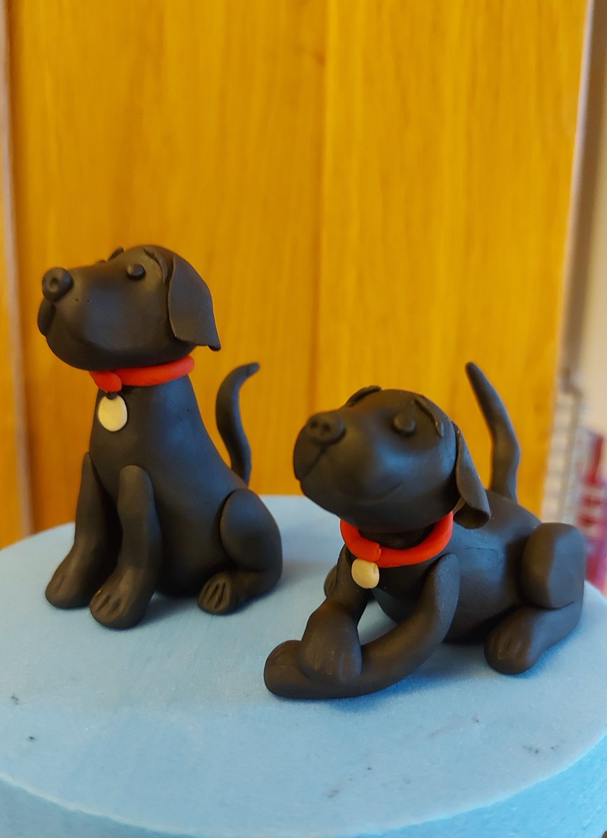 Camdragon's tweet photo. Sweet black labradors.
(Literally: they're made of sugar!)
#bethbakes https://t.co/rJdZR88mky