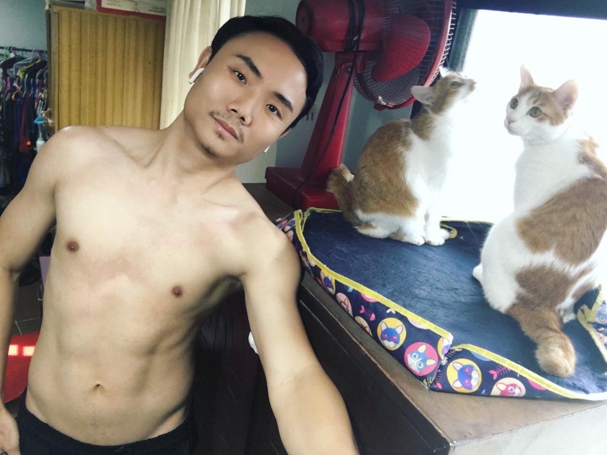 dogter_m's tweet photo. กว่าจะจับลูกๆ ถ่ายได้ แหน่ะ ก็ยังอุตส่าห์ไม่มองกล้องอีก #cat #catdaddy https://t.co/kV1Rk1Bsiz