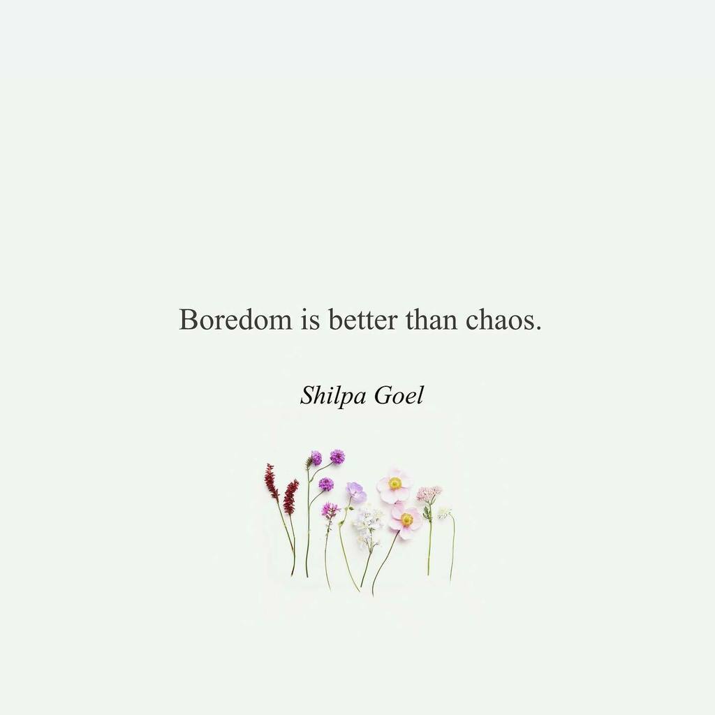 meetlife240's tweet photo. Chaos and drama ain’t my cup of tea. I’d rather be alone and bored.

✨Visit https://t.co/rv20lA6Cij to check out my blog, books and more!✨Follow @meetlife240 for more 

#poetry #writers #relationships #quotes #poems #content #girlswhowrite #writersofi… https://t.co/oi5XlS2S3n https://t.co/5PLTOSs3zE