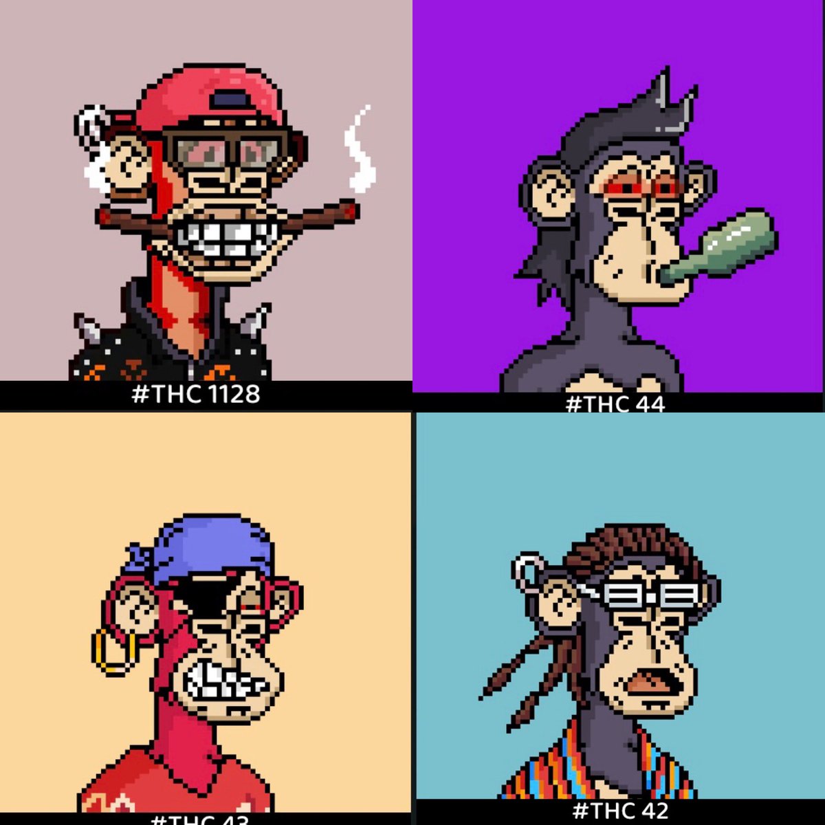 AuthenthiccEth's tweet photo. @thehighapesclub Love the community and people here! Truly a fun place to be and a great way to meet people! https://t.co/tZnz8YdpeO