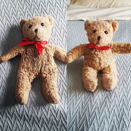 Madison Farkas tweet media