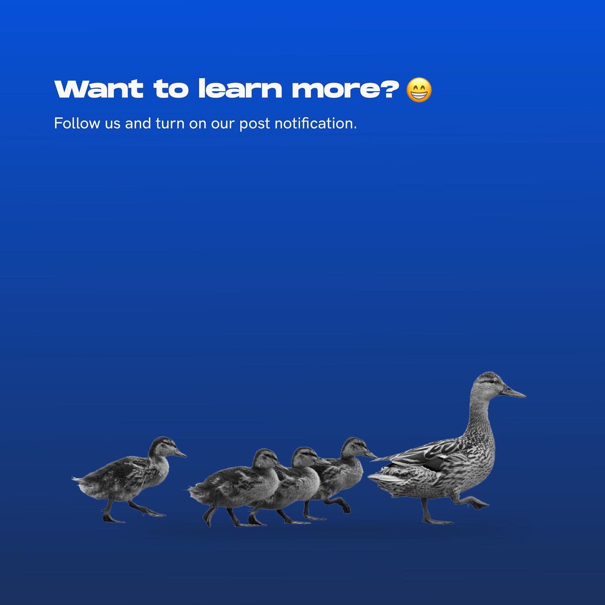 BusinessStance's tweet photo. https://t.co/kTKbJO5oc0