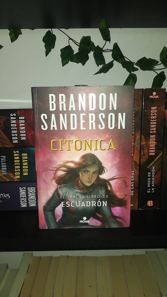 darthdolkiel's tweet photo. Sumamos otro más a la pila de lectura, ³libro de #skyward #cytonic #citonica #BrandonSanderson @NovaCiFi https://t.co/9uWW41m2sg