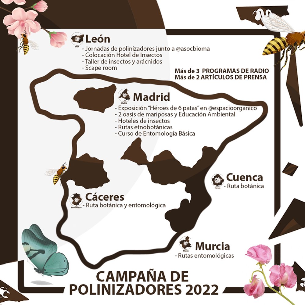 iberozoa's tweet photo. CAMPAÑA DE POLINIZADORES IBEROZOA 2022 🐝🏵️ 
Este movimiento tiene como objetivos dar a conocer la importancia de los insectos, fomentar su conservación y valorar a las personas que trabajan en su investigación o están vinculados con su biodiversidad. Mapa de acciones 👇 https://t.co/3GfeotIZ9X