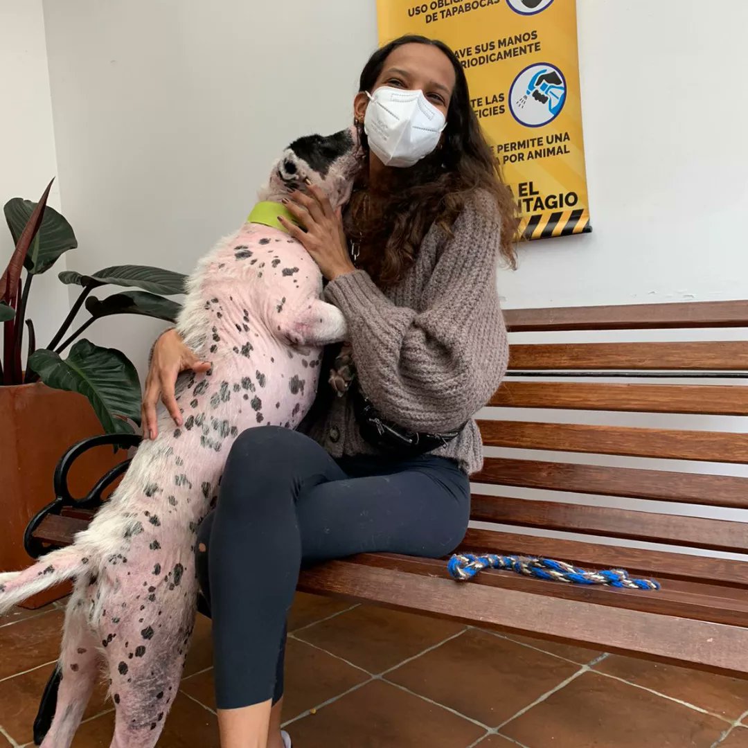 Aún debemos costear exámenes adicionales para Papo y su comida especial 🥺💚. BUSCAMOS 11 padrinos de 20mil pesos que nos den una mano 🐾 y nos ayuden a cambiarle la vida a Papo 🐼. También puedes donar cualquier cantidad ¡Toda ayuda suma!