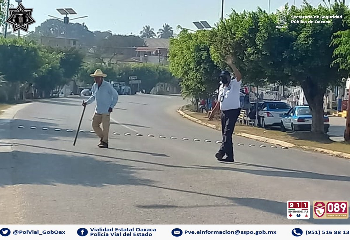 PolVial_GobOax's tweet photo. #ElPeatónEsPrimero #Respetelo
✅ Garantizamos la seguridad vial del peatón.
👉🏻 Conductor disminuya su velocidad, respete las normas y reglas de tránsito.
🔹 Ceda el paso al peatón.
#EviteAccidentes #MaríaLombardo #Istmo #Oaxaca https://t.co/56xbiPRdty