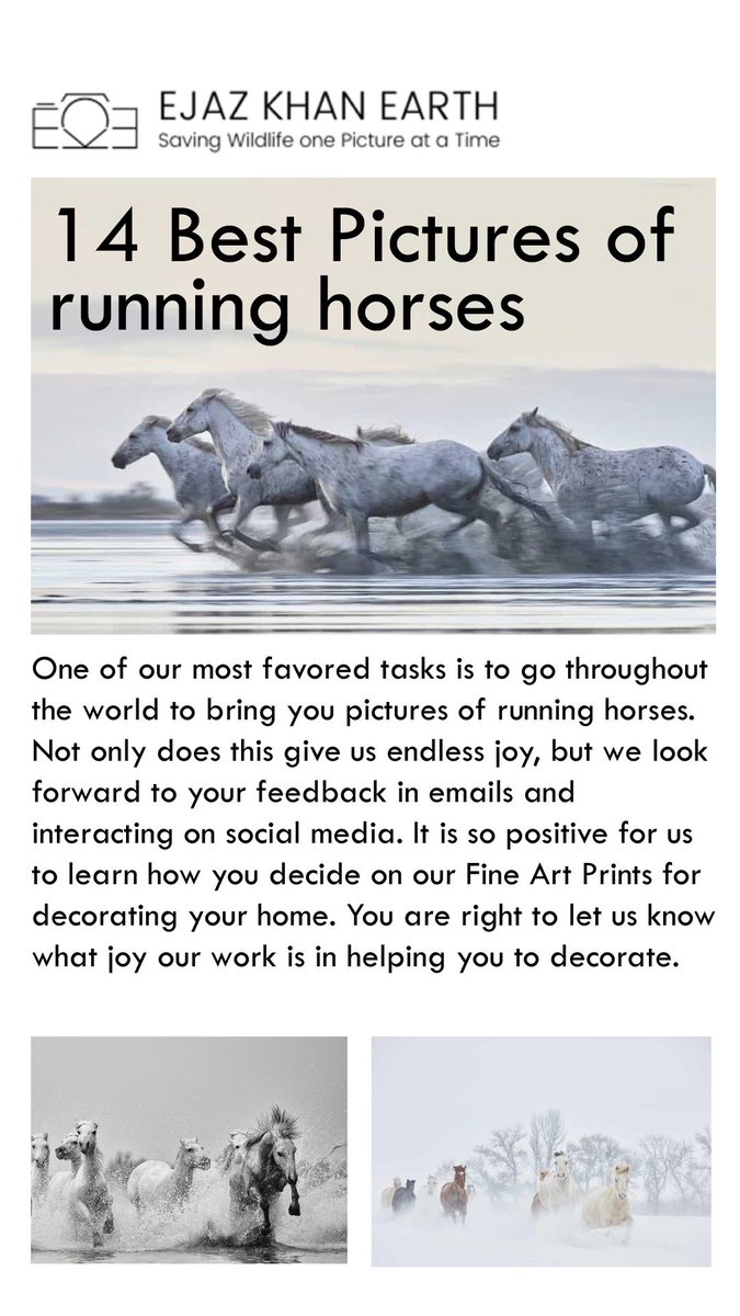 vanishingknowl1's tweet photo. One of our most favored tasks is to go throughout the world to bring you pictures of running horses. Not only does this give us endless joy, but we look forward to your feedback in emails and interacting on social media…Enjoy more at the link below.

https://t.co/LoLHzwj1Vr https://t.co/rq6qHi8HHB