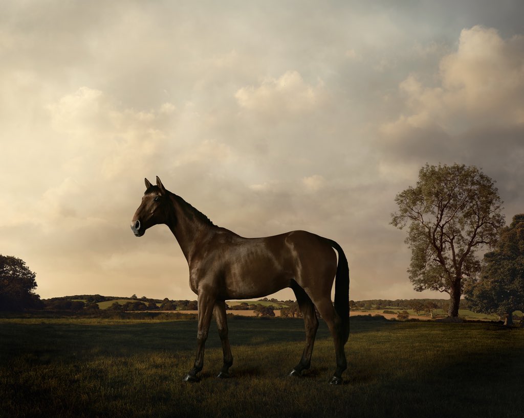 re_stubbs tweet media