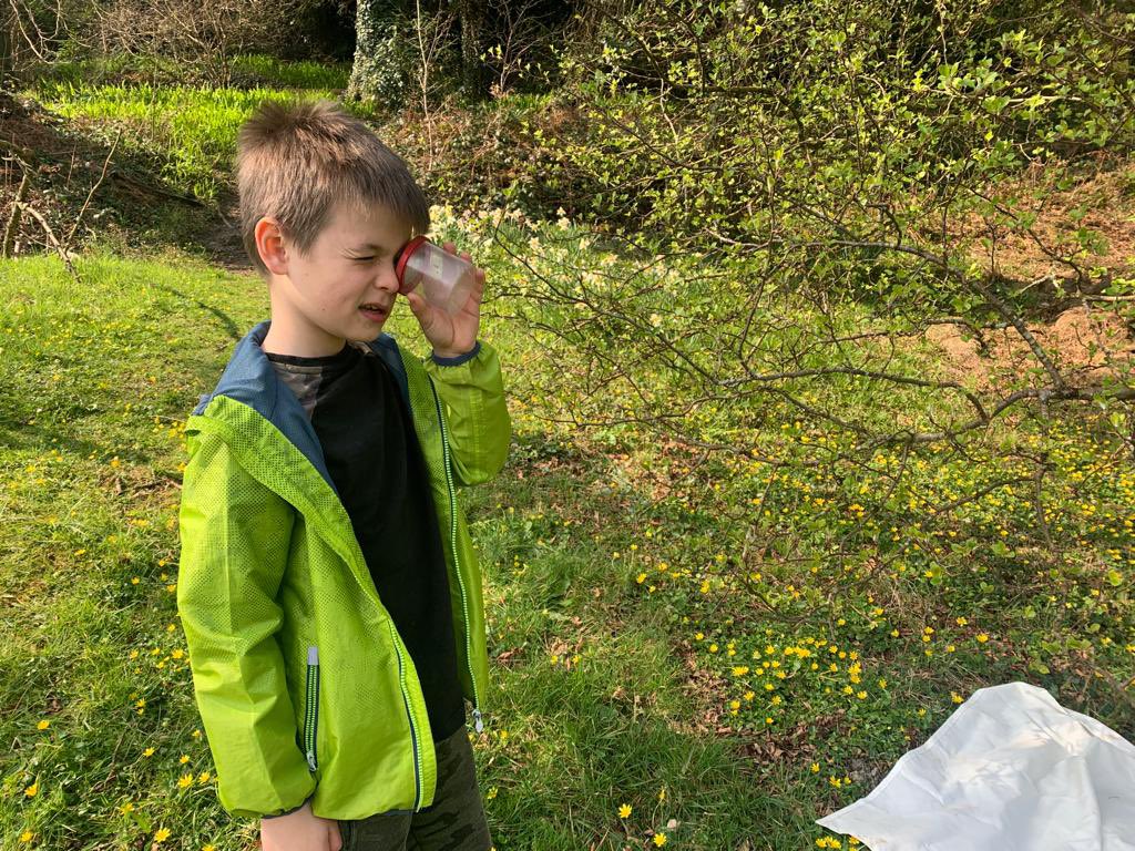 hook_morlo's tweet photo. Thank you to our friends @darwincentre, we thoroughly  enjoyed our visit to Colby Woodland Gardens. Young scientists at work, enjoying the great outdoors 🐸🌲🔬@SchoolsPembs https://t.co/sgFZpjwhAT