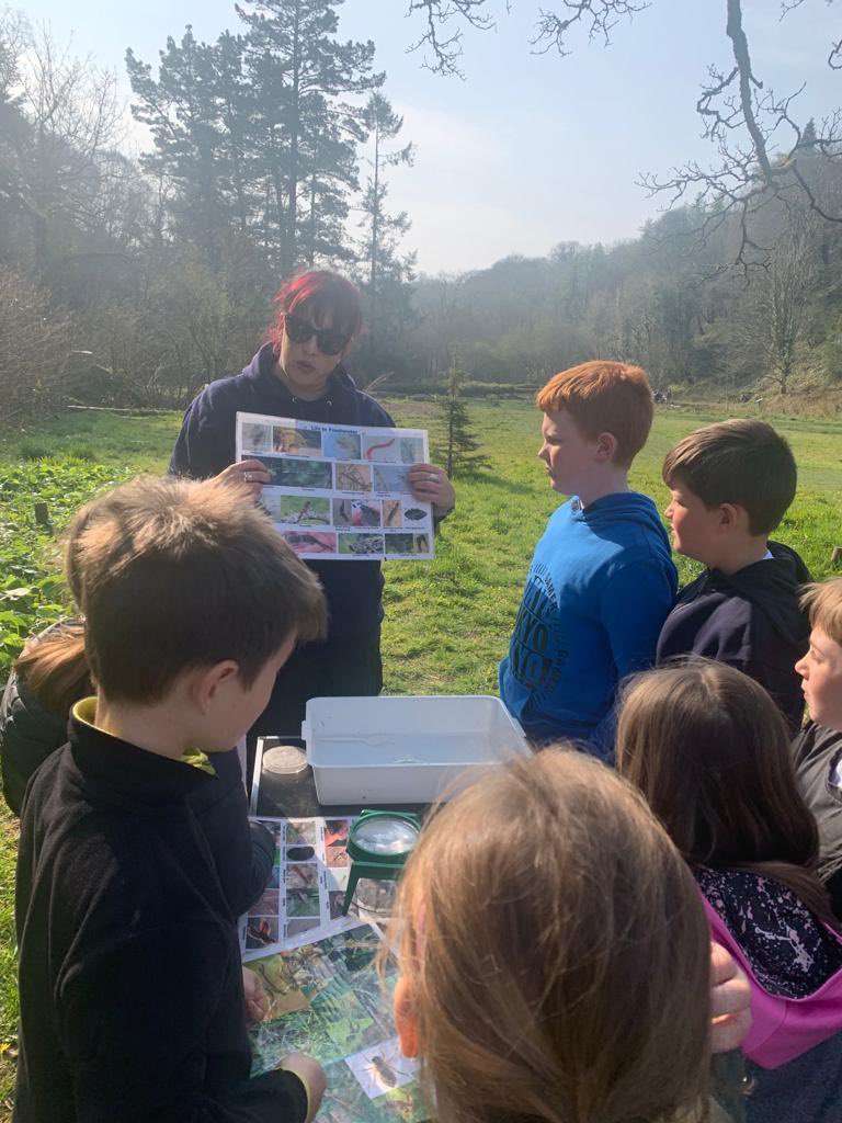 hook_morlo's tweet photo. Thank you to our friends @darwincentre, we thoroughly  enjoyed our visit to Colby Woodland Gardens. Young scientists at work, enjoying the great outdoors 🐸🌲🔬@SchoolsPembs https://t.co/sgFZpjwhAT