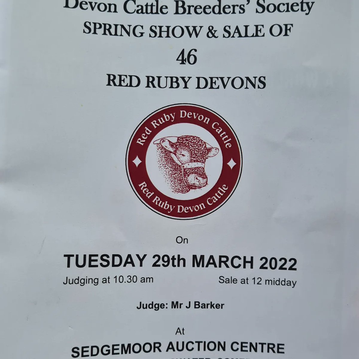 Shearwell's tweet photo. Great show & sale of Devon Cattle Breeders' Society today at @GTHMarket
Very proud to sponsor the event again this year. #RedDevons #DevonCattleBreeders #GTH https://t.co/rJgDasV8Jo