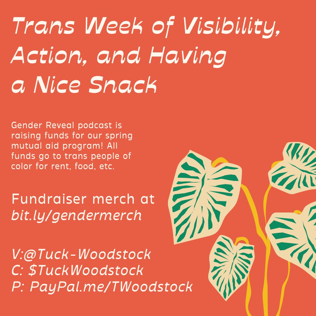 a trans podcast tweet media