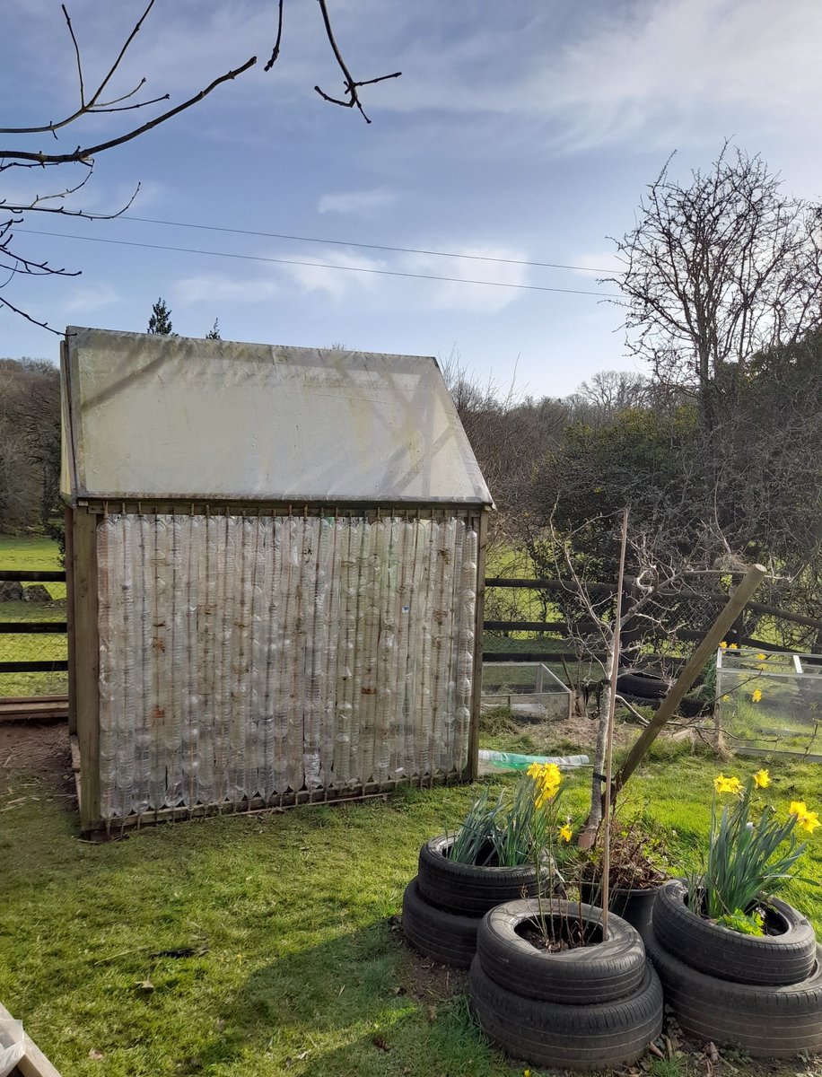 MeavySchool's tweet photo. It's finished! Our totally recycled greenhouse made out of plastic bottles and reclaimed materials. Well done Mr P, gardening club and their wonderful helpers. Home grown veg anyone?! @stchris_trust #Meavy #growyourown #recycledplastics https://t.co/PrVXFO04tM