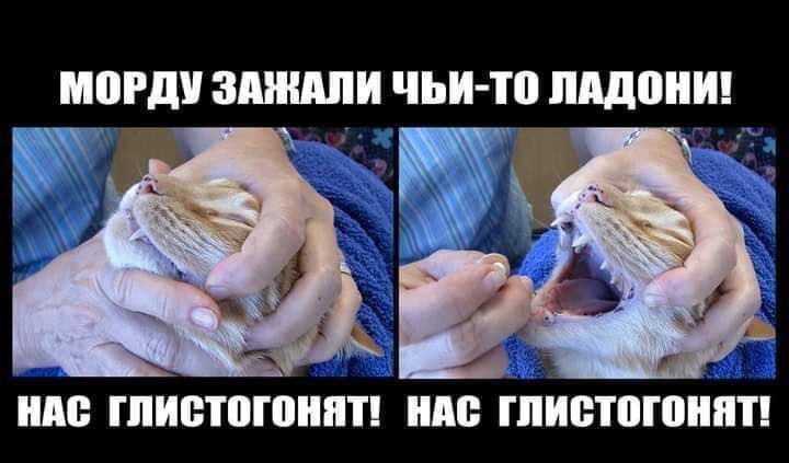 Arktem (@arktem) on Twitter photo 