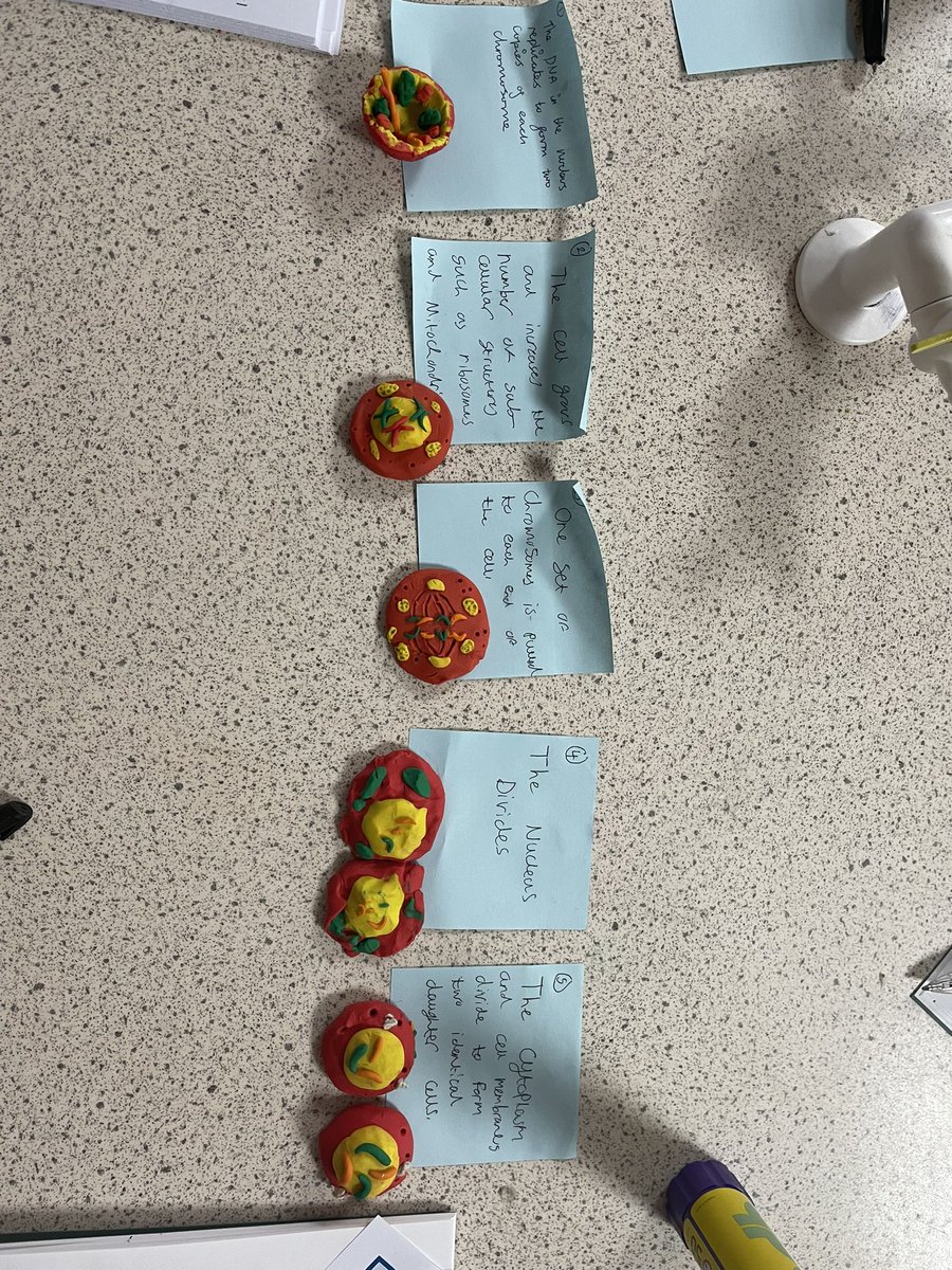MissPooleRBHS's tweet photo. 11Q/Sc2a went old school today with the return of play dough! Some fantastic modelling of cell division based on the stages covered in todays revision lesson 🧬🦠 @RBHSScience https://t.co/WmdRdinxr9